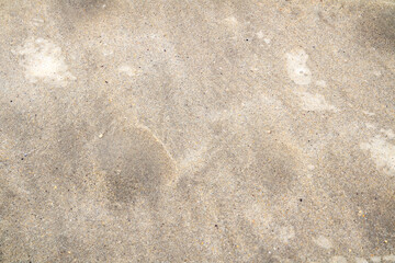 Bubbles in the sand showing that the tide is coming in