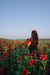 woman at the poppies flowers field on sunset