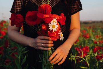bouquet of poppies flowers in woman hand on sunset