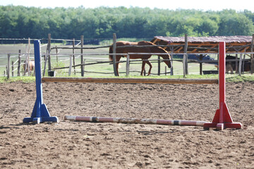 Show jumping poles obstacles, barriers, waiting for riders