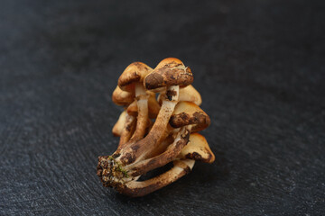 Edible mushrooms - delicious and healthy dietary food