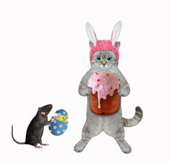 An ashen cat in a pink bunny hat with a rat celebrate easter. White background. Isolated.
