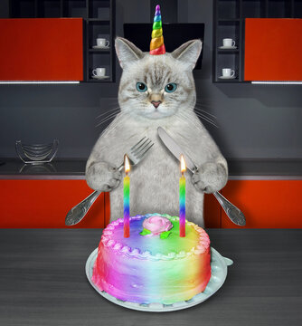 An ashen caticorn with a knife and a fork is eating a cake with burning candles in the kitchen.