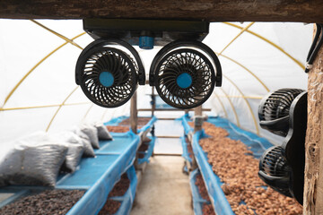 Fans in solar dryer greenhouse. A thermal control system for ventilation and temperature in coffee bean and cocoa seed drying process.