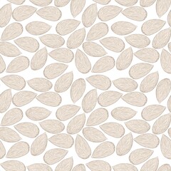 Beige contour pattern, illustration of almond nuts on a white background
