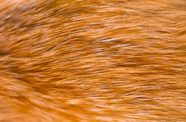 Fox fur close up. Redhead animal fur background, fur pile texture. Eco-wool, eco-leather artificial...