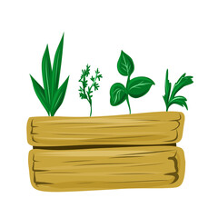 A box with plants for planting in the garden.