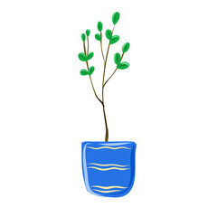 A tree in a blue pot for planting in the garden.