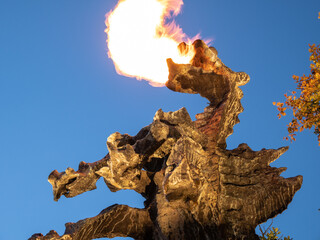 Legendary fire breathing Wawel Dragon Statue (Smok Wawelski Kraków) by night. Sculpture by...