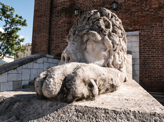 Stone statue of a sleeping lion in front of Kraków Town Hall Tower on the Main Market Square in...