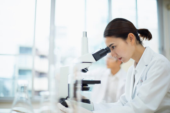 顕微鏡を覗く女性研究員