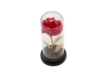 Red glowing rose in a flask. Laconic execution and a flower under a transparent dome. In...