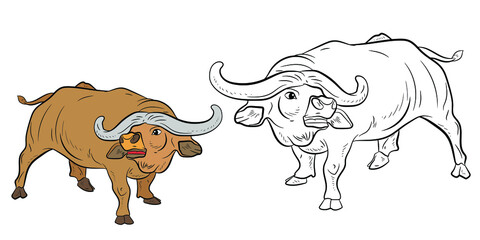 Large wild animal buffalo, black and white image. Coloring book for kids. Vector drawing.