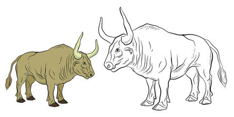 Large wild animal buffalo, black and white image. Coloring book for kids. Vector drawing.