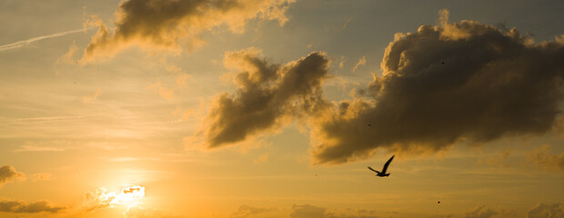 Panorama of sunset colors in the sky. sky background