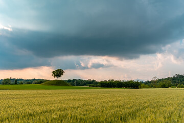 Storm in the fields of Friuli Venezia-Giulia