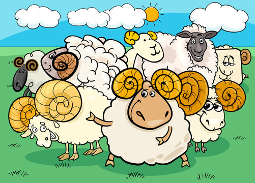 Cartoon Ram And Sheep Group In The Meadow