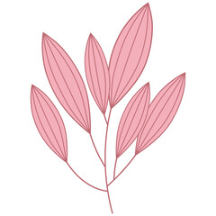 aesthetic element pink leaf flower