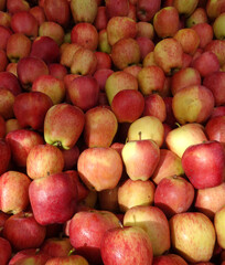 Apples  on a farmers market stall in the Aegean coastal town Turgutreis, in Bodrum, Turkey.    
