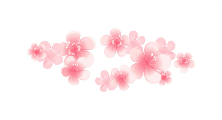 Flying pink peach flowers isolated on white background. Apple-tree flowers. Cherry blossom. Horizontal. Vector