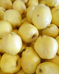 Quinces on a farmers market stall in the Aegean coastal town Bodrum, Turkey.   