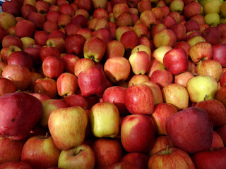 Fototapeta na wymiar Apples on a farmers market stall in the Aegean coastal town Turgutreis, in Bodrum, Turkey. 