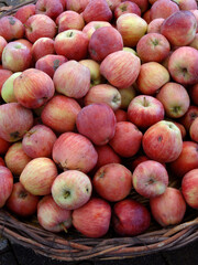 Organic red apples on a farmers market stall in Yalikavak, Bodrum, Turkey.            