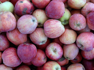 Organic red apples on a farmers market stall in Yalikavak, Bodrum, Turkey.            