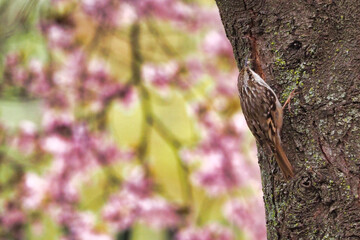 bird on a branch