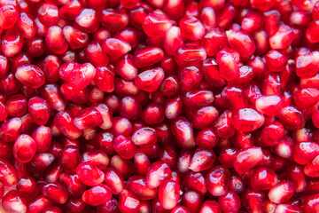 bright background with red pomegranate berries