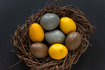 Dyed Easter eggs in birds nest on black background. Happy Easter concept.