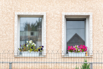 Fototapeta na wymiar Two windows with blinds and flowers on the windowsill of house. Facade of the building. Modern building.