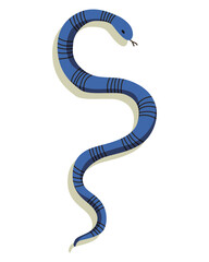 Venomous snake. Danger color animal. Poisonous reptile crawl. Decorative character, wildlife nature animal