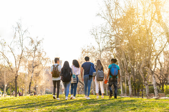 Back view of a row of young multi-ethnic students walking together in the park