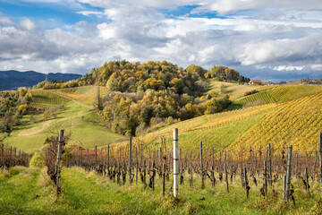 Fototapeta na wymiar rural landscape scene with hills and vine yards in the south styrian region called Weinstrasse Südsteiermark and with some clouds in the sky in the background