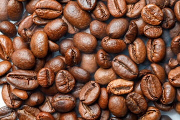 cclose-up large offee roasted bean