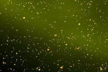 お抹茶色の和紙_金箔