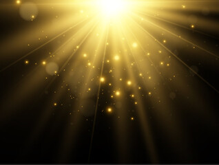 Fototapeta na wymiar Bright beautiful star.Vector illustration of a light effect on a transparent background. 