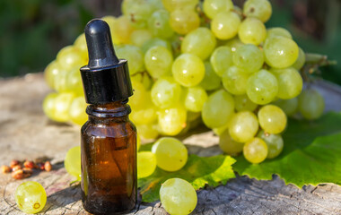 Grape seed oil in a glass jar and fresh grapes for spa and body care. The concept of spa, bio, eco products.