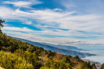 Paisaje con árboles y montañas en el municipio de Santa Úrsula