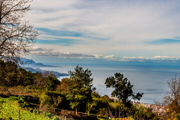Paisaje con árboles y montañas en el municipio de Santa Úrsula