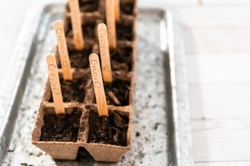 Planting seeds