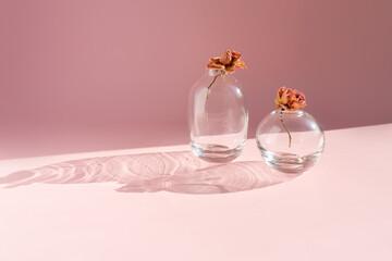 transparent glass jars of vases with dry roses on a pink background.