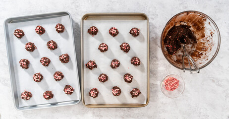 Chocolate cookies with peppermint chips