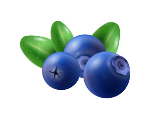 Realistic Blueberry Leaves Composition