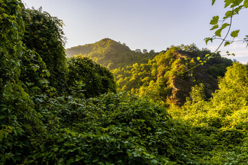Gorges de l'Ouche, Conques, Aveyron, Occitanie, France