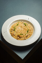 Appetizing mushroom risotto garnished with microgreens (gorose sprout) in a beautiful white plate.