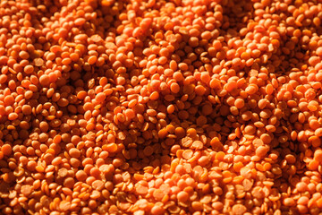 Red lentil is an edible legume. It is an annual plant known for its lens-shaped seeds.