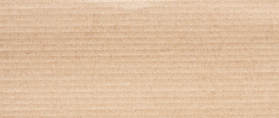 Fototapeta na wymiar Corrugated cardboard paper background with Vertical Lines