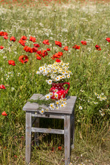 Wildflower Still Life On Rustic Chair